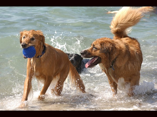 Things You Should Not Do in Beaches