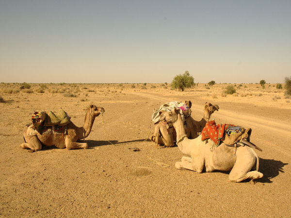 5 Day Rajsthan Itinerary 5 Day Rajsthan Itinerary