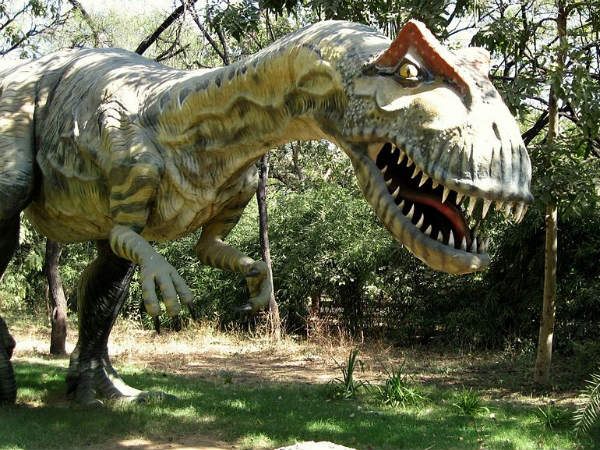 Indroda Dinosaur and Fossil Park