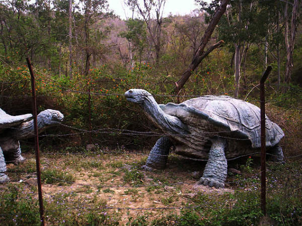 Shivalik Fossil Park