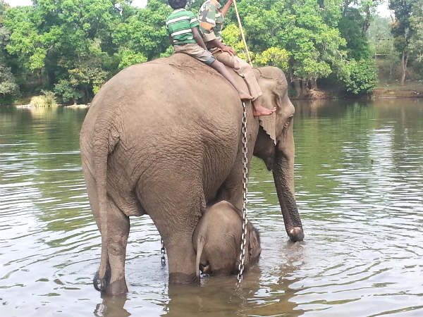  Things to do in Bylakuppe!