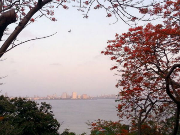 Picnicking at the Hanging Gardens!