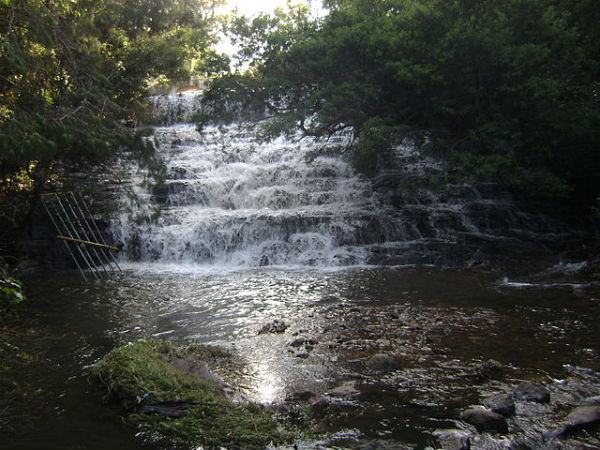 Popular Waterfalls in Kodaikanal
