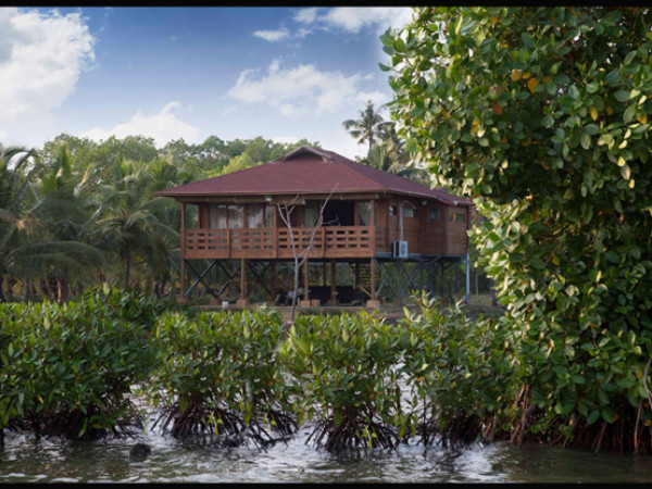 Top 5 Homestays in Kerala