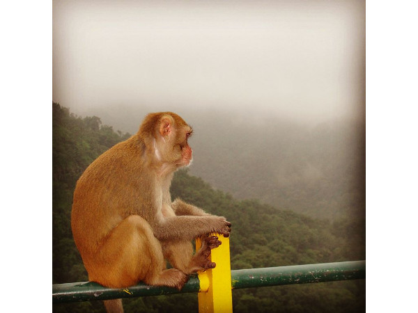 Melghat Tiger Reserve in Maharashtra