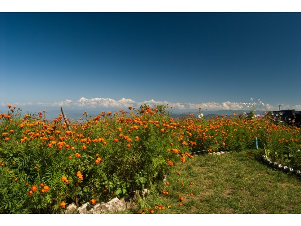 things to do in Mukteshwar