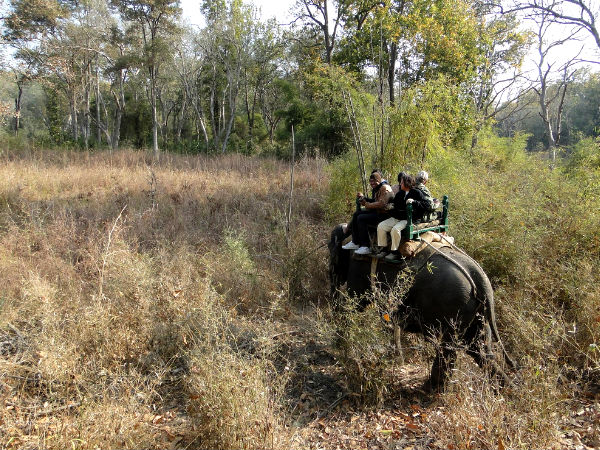 Pench National Park