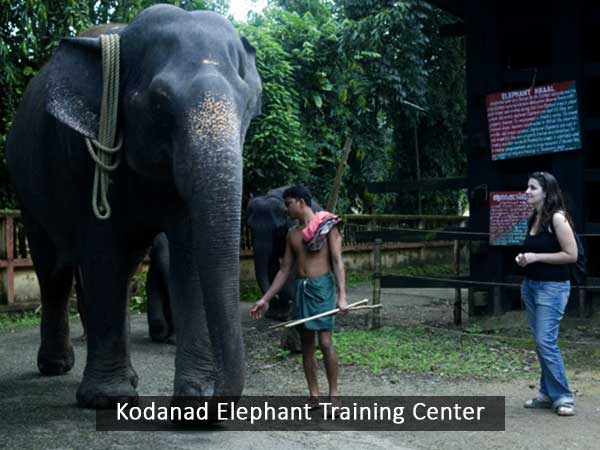 Athirapally waterfalls