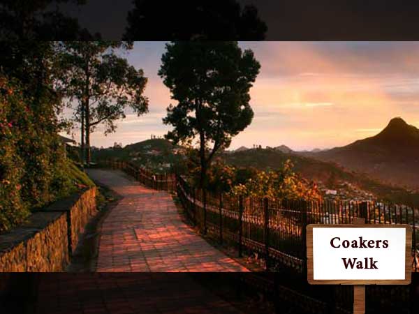 Bangalore to Kodaikanal