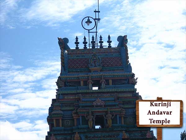 Bangalore to Kodaikanal