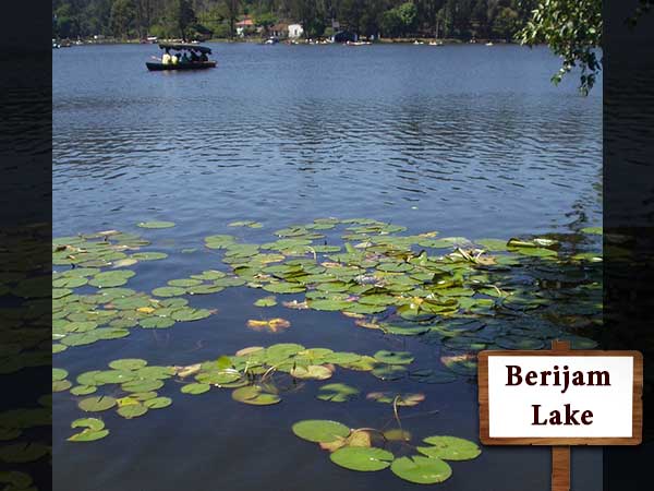 Bangalore to Kodaikanal