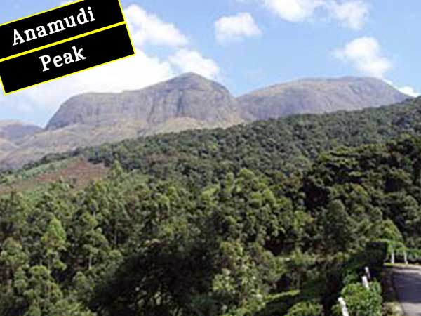 Coimbatore to Idukki