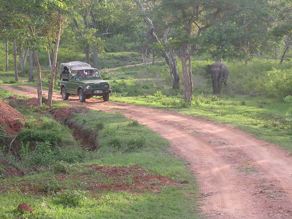 road trip from bengaluru to wayanad