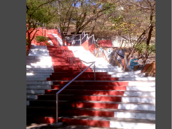 Chatushrungi Mata Temple