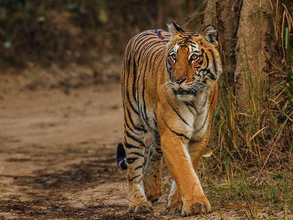 Weekend Getaways From Delhi