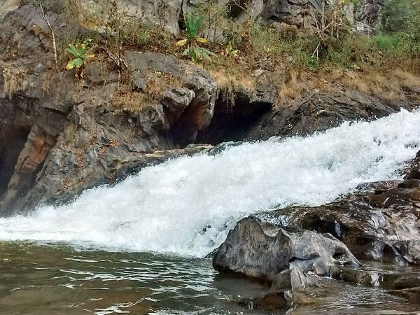 dandeli wildlife sanctuary dandeli wildlife sanctuary