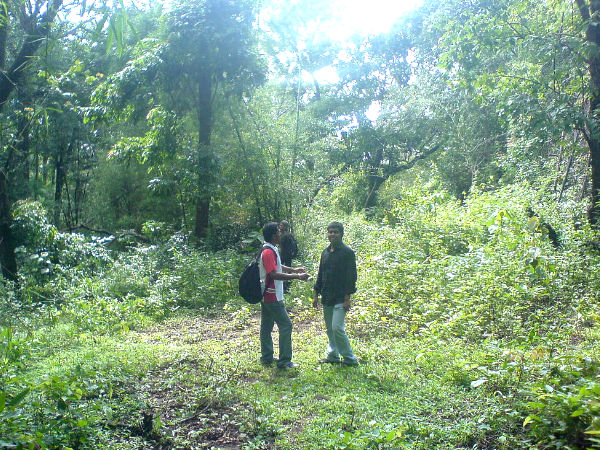 dandeli wildlife sanctuary dandeli wildlife sanctuary