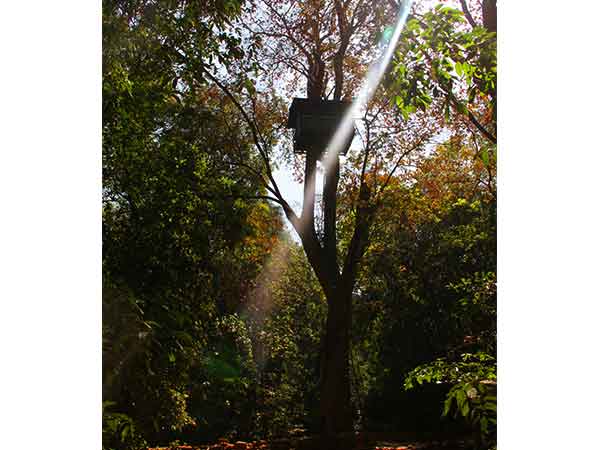 cotigao wildlife sanctuary goa