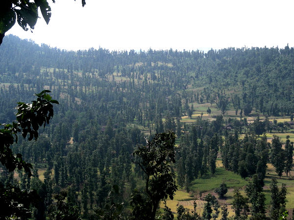 saputara hill station gujarat