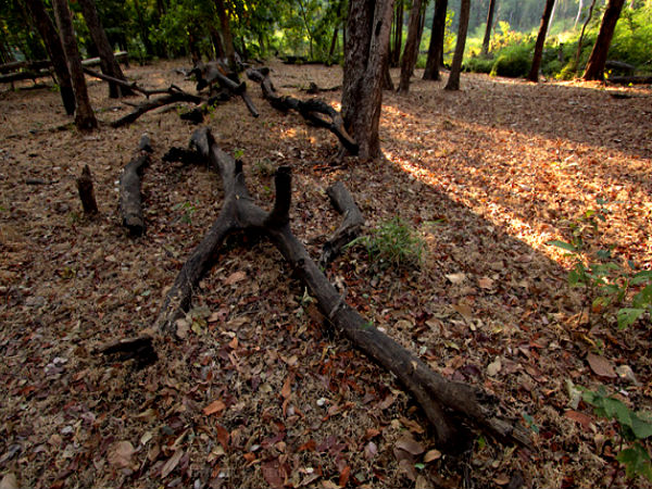 saputara hill station gujarat