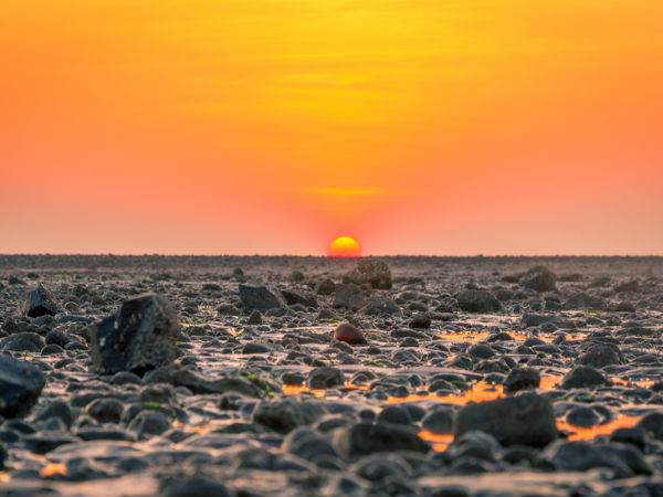 all you need to know about udvada