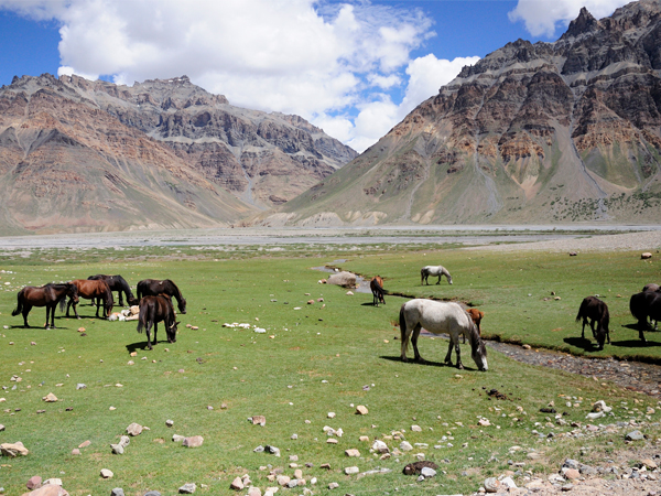 chandratal baralacha trek in himachal pradesh