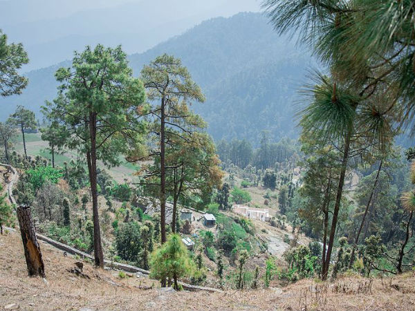 binsar in uttarakhand