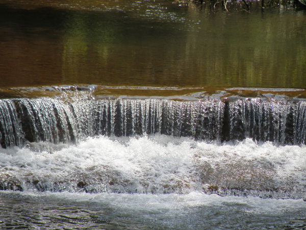 Bangalore to Kukke Subramanya