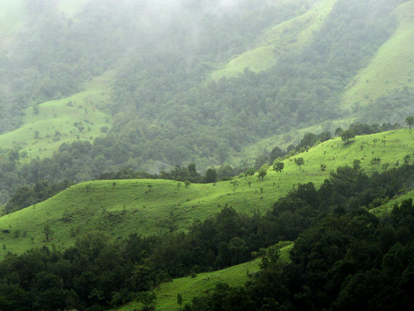 Bangalore to Kukke Subramanya
