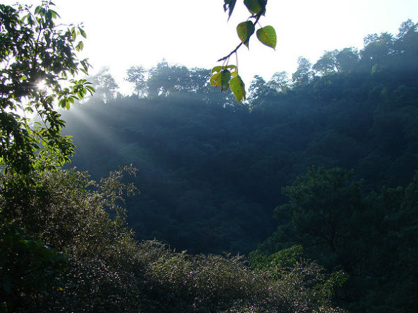 lansdowne in uttarakhand