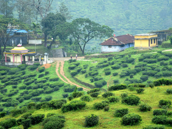 roadtrip from bengaluru to thekkady