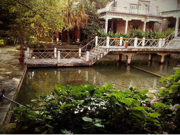 palampur tea gardens
