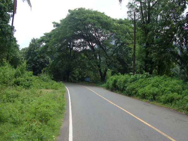 road trip from bengaluru to athirapally