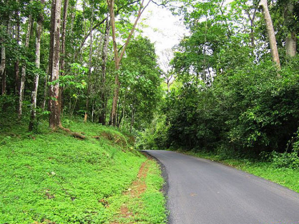 road trip from bengaluru to athirapally