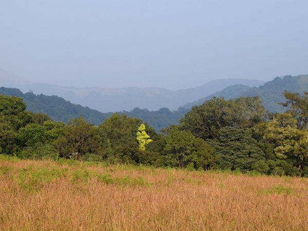paithalmala the hill station in kannur