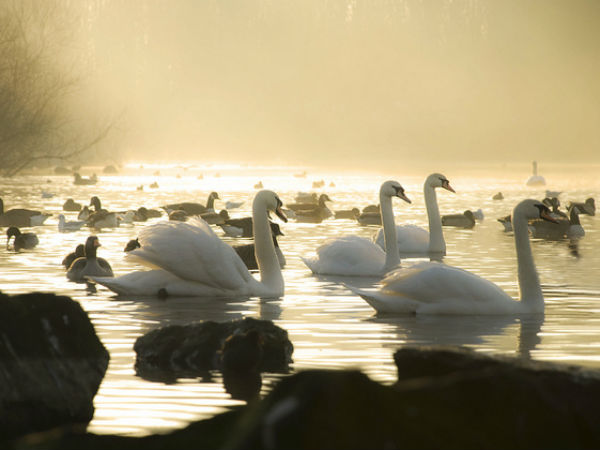 Lepchajagat in west bengal