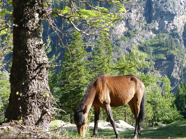 Hampta Pass Trek