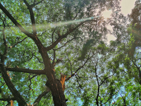 ganeshgudi in karnataka