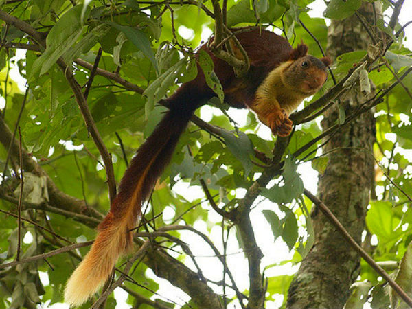 ganeshgudi in karnataka