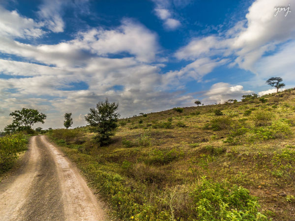 morachi chincholi in maharashtra