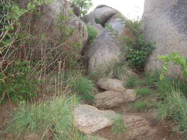 treks near bangalore