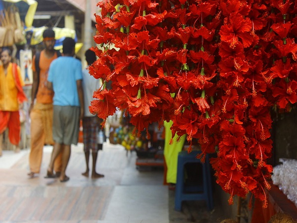 kamakhya temple