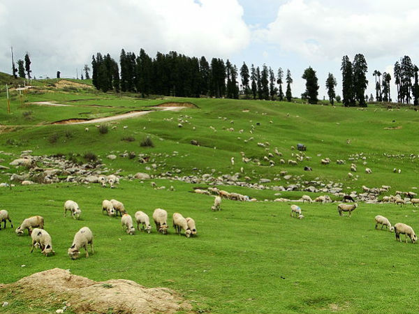 hill stations of kashmir