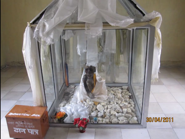 the lama mummy of gue