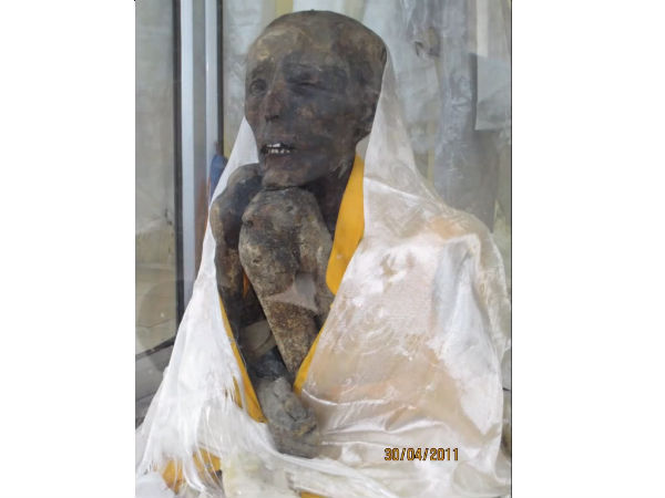 the lama mummy of gue
