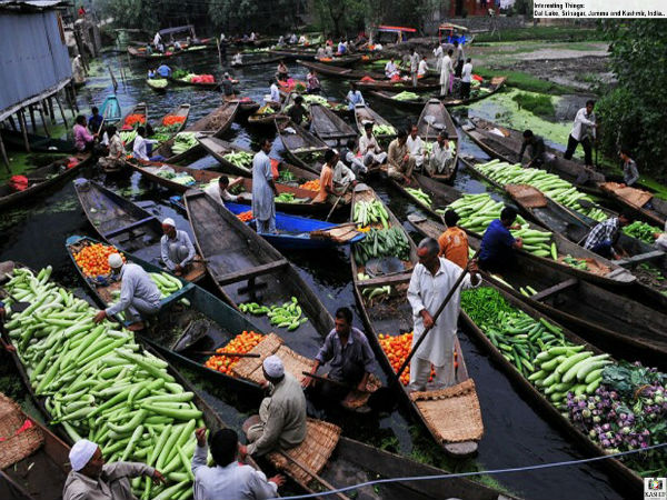 floating market on dal lake