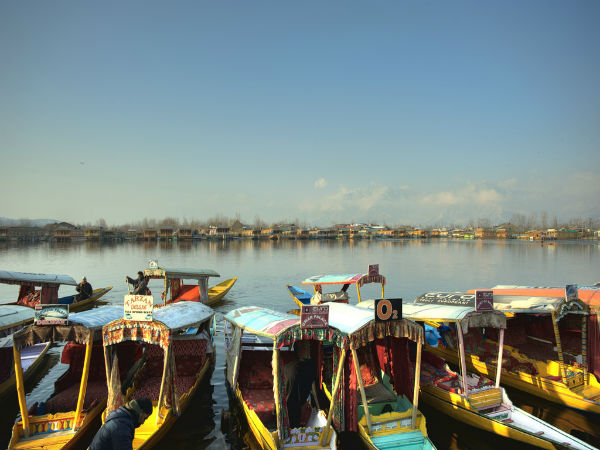 floating market on dal lake