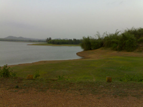 Attiveri Bird Sanctuary