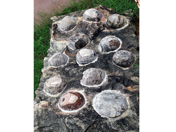 Indias Very Own Jurassic Park 