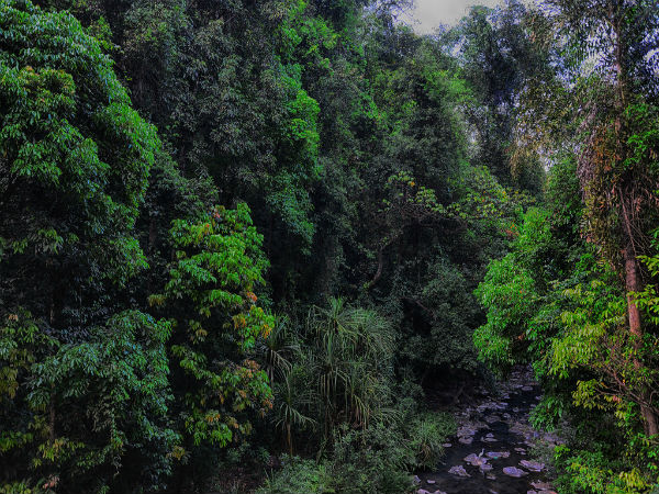abbey and iruppu falls